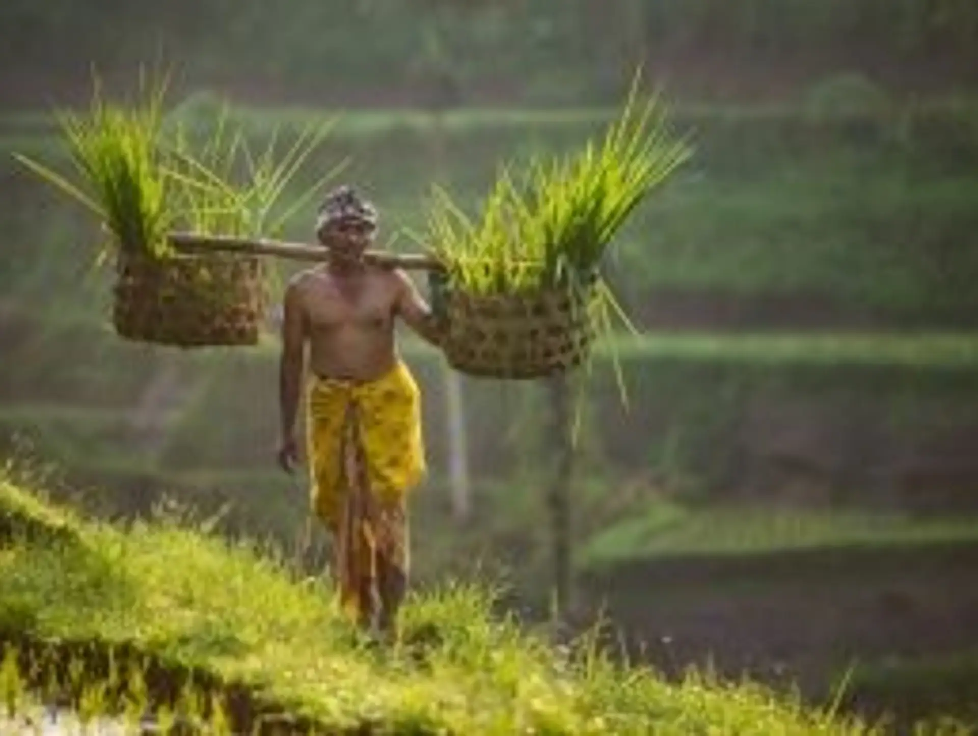 Indonesia Fast Facts