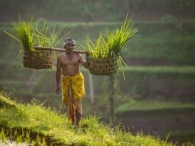 Indonesia Fast Facts