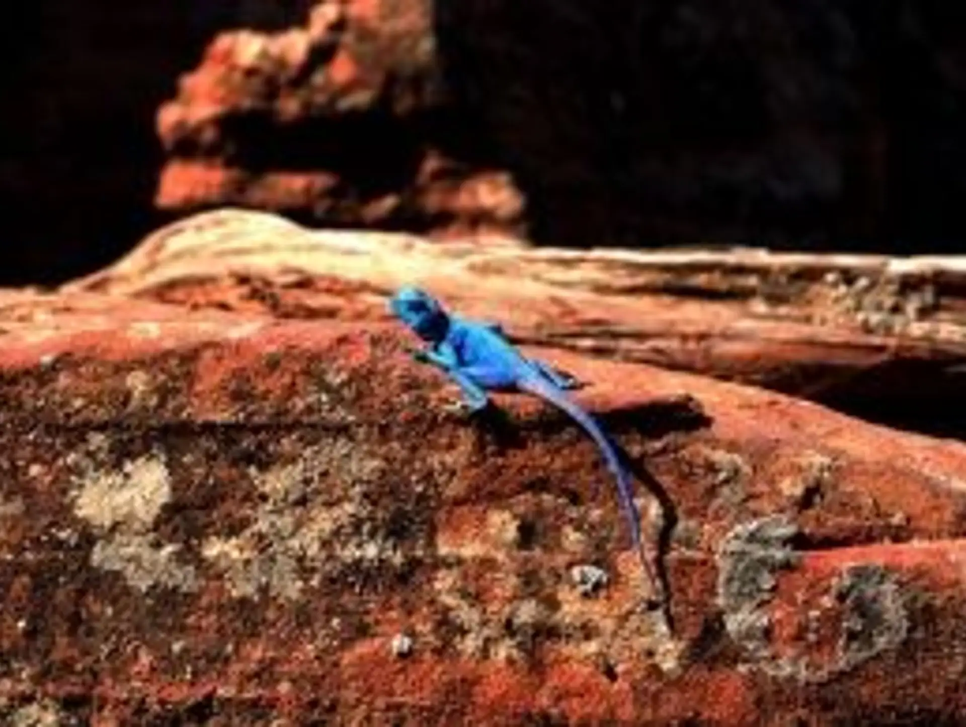 La Jordanie en chiffres