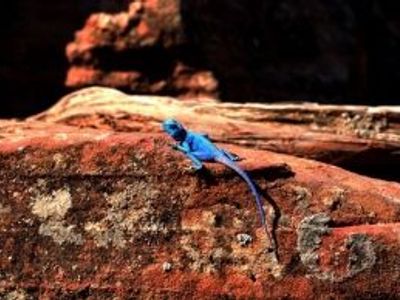 La Jordanie en chiffres