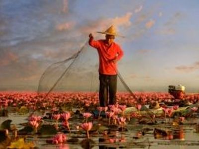 Les animaux du Laos, une faune unique