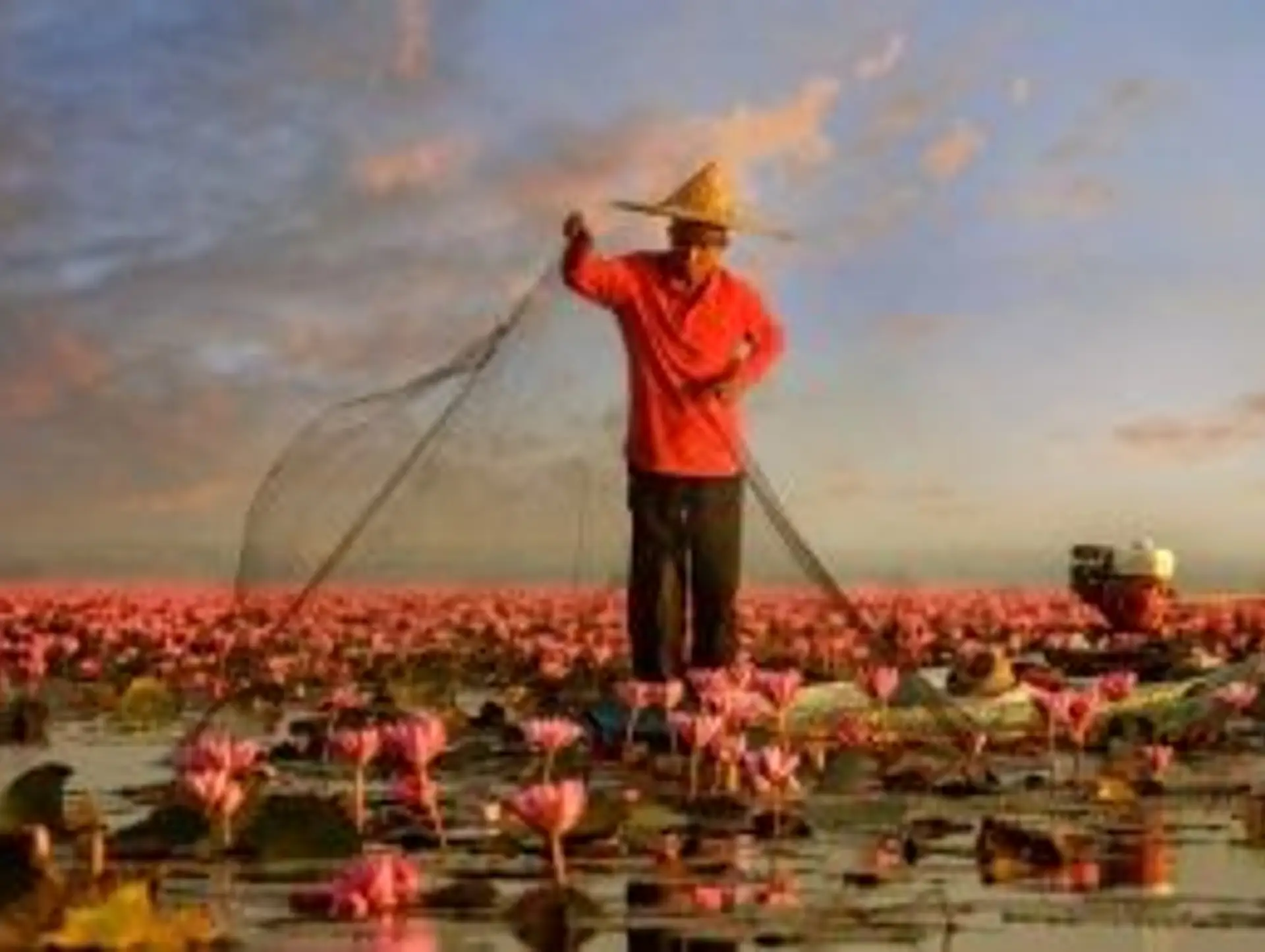 Les animaux du Laos, une faune unique