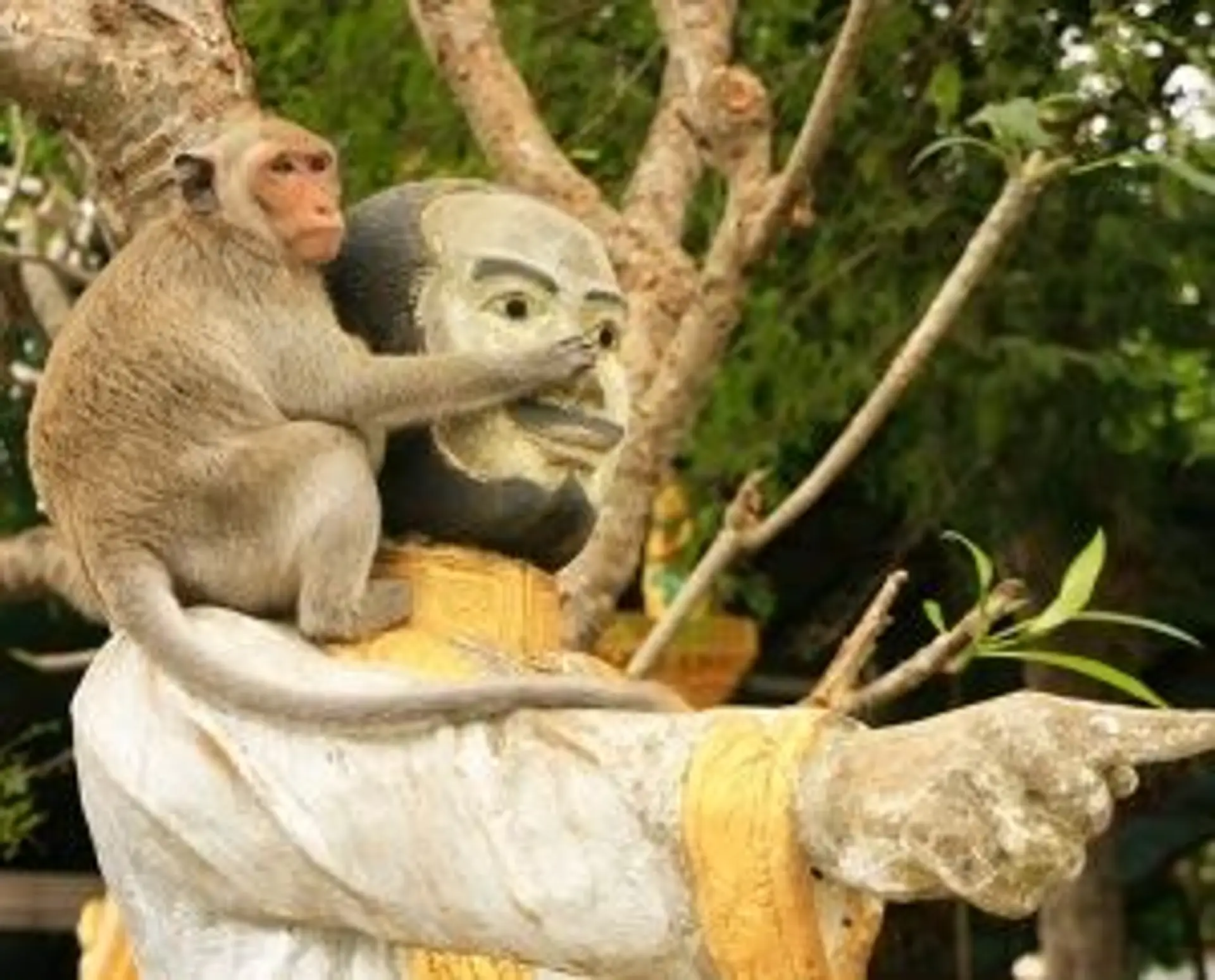 Un singe macaque assis sur l'épaule d'une statue traditionnelle au Cambodge
