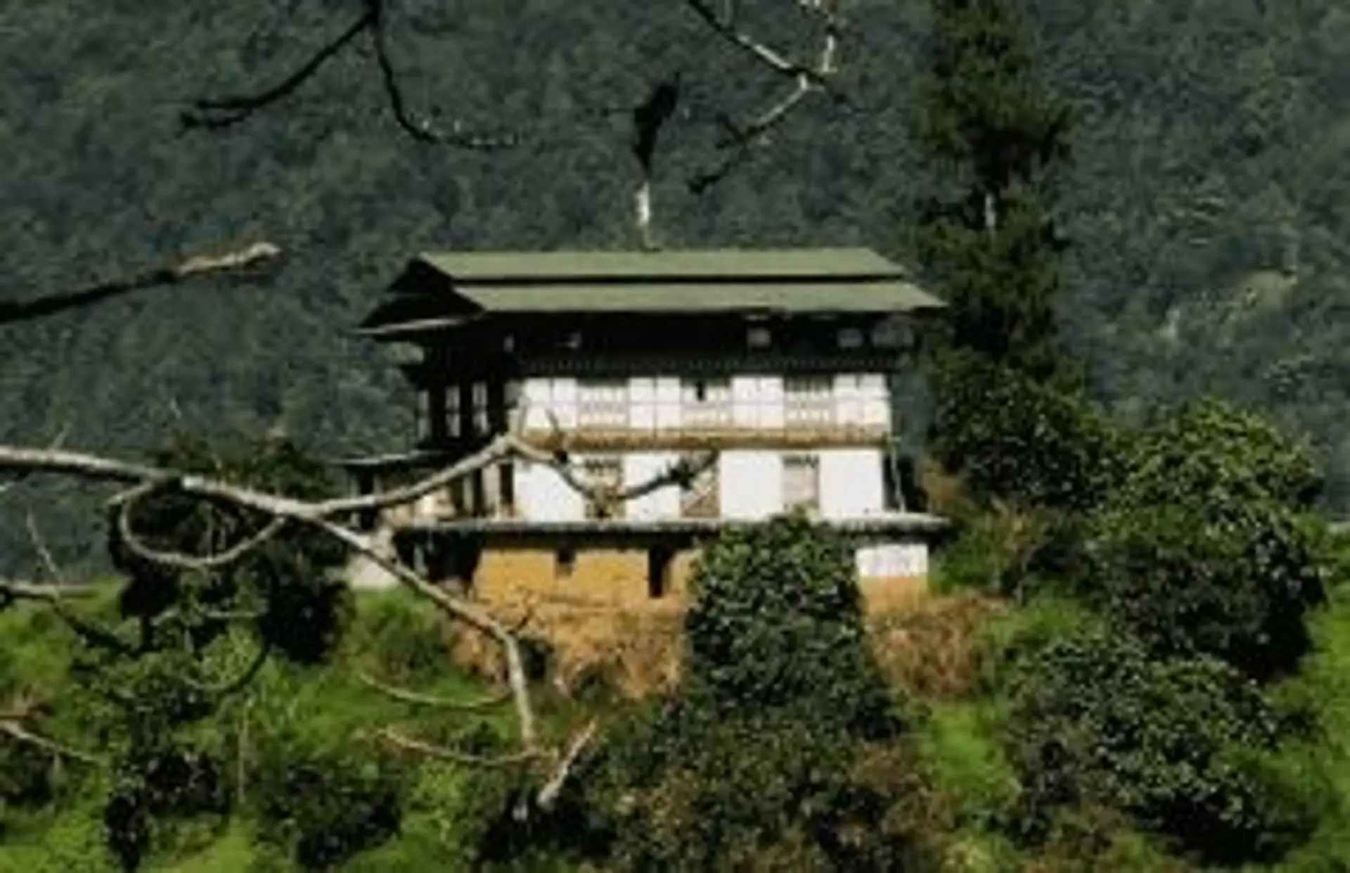 Hôtel de charme à l'architecture traditionnelle bhoutanaise entouré d'une forêt dense au Bhoutan