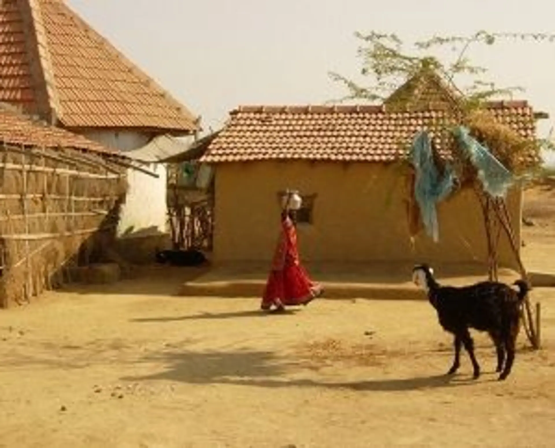 Hébergements en Inde - hôtels, guesthouses et lodges pour votre voyage