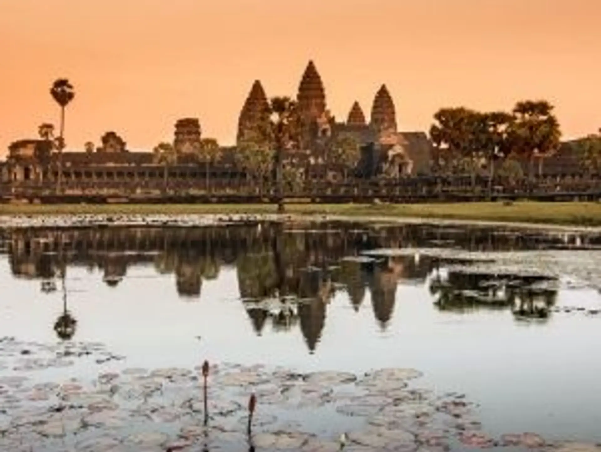 Sites et expériences à ne pas manquer au Cambodge