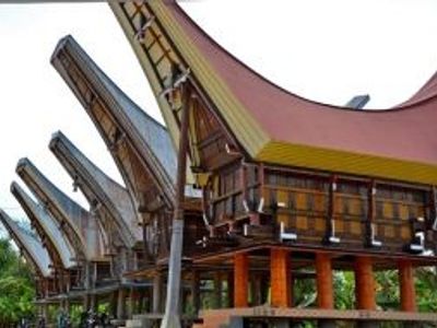 Les incontournables de Sulawesi