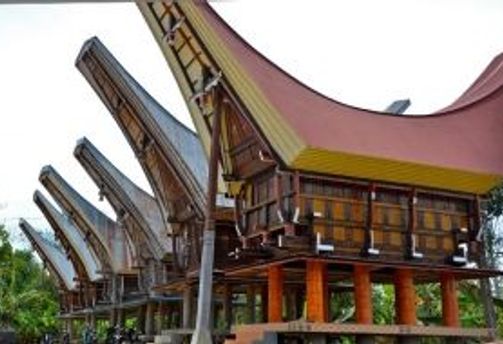 incontournables-sulawesi