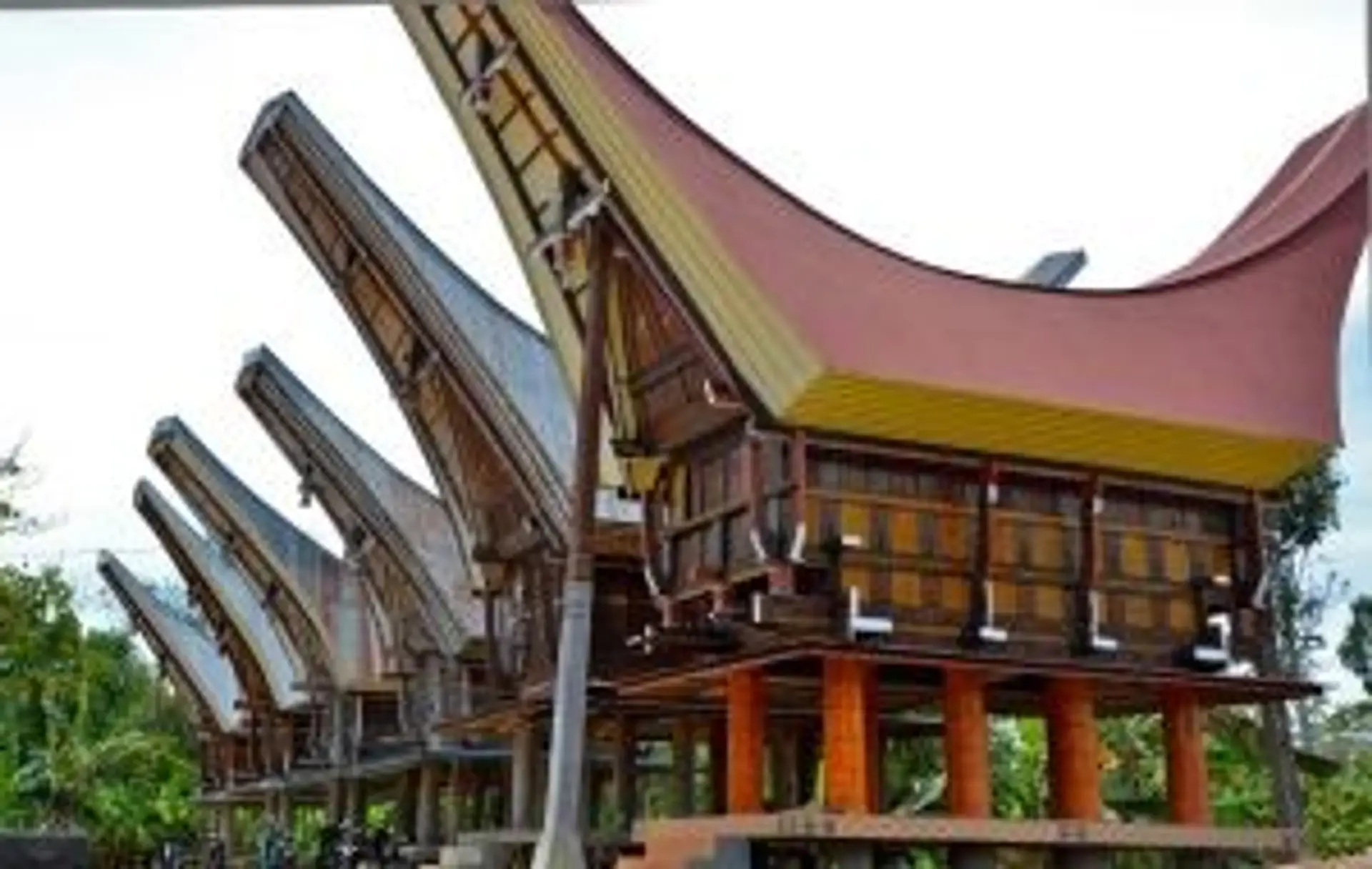 Maisons traditionnelles Tongkonan avec leurs toits en forme de coque de bateau au pays Toraja, Sulawesi