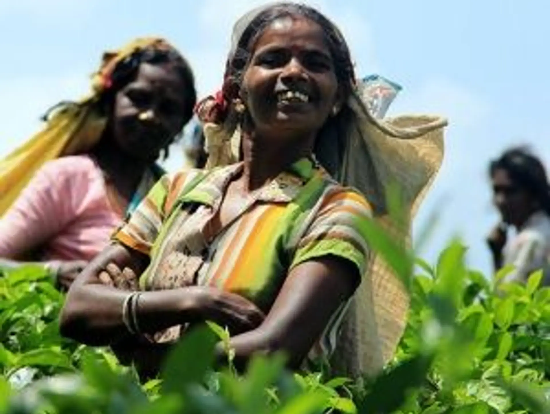 Les langues au Sri Lanka