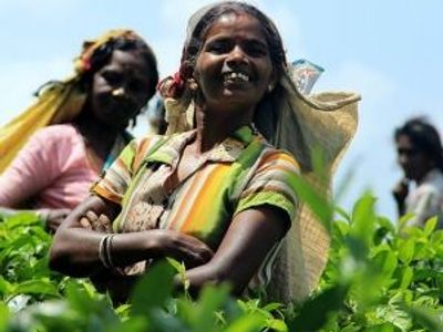 Les langues au Sri Lanka