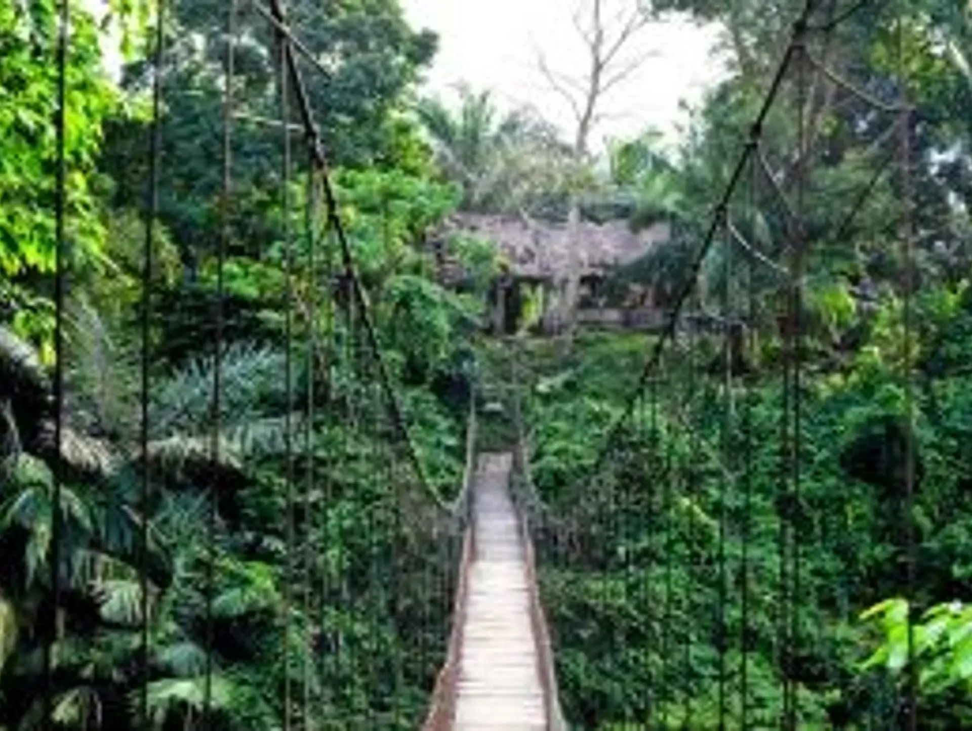 Les treks à Sumatra