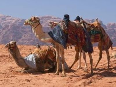 Expressions et vocabulaire essentiels pour la Jordanie