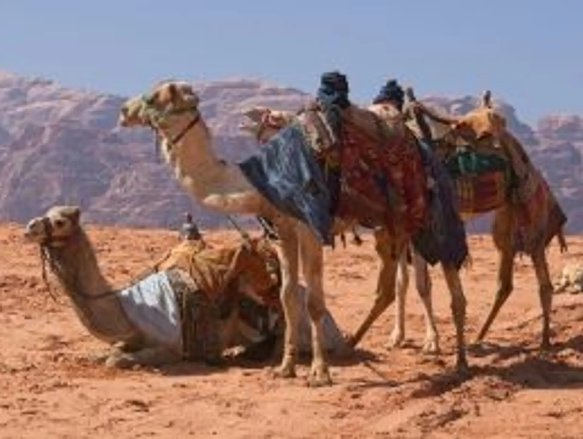 Expressions et vocabulaire essentiels pour la Jordanie