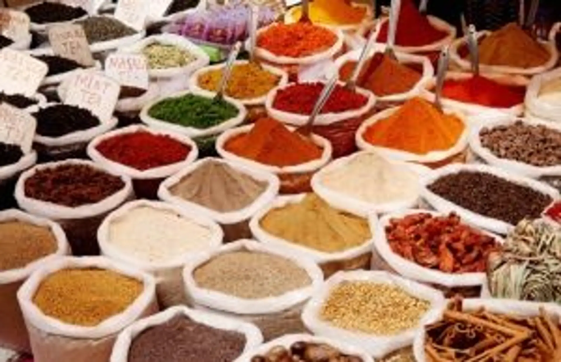 manger en Inde du Sud, gastronomie Inde du Sud, cuisine sud‑indienne, spécialités Inde du Sud, dosa, thali, idli, guide Inde du Sud, Shanti Travel