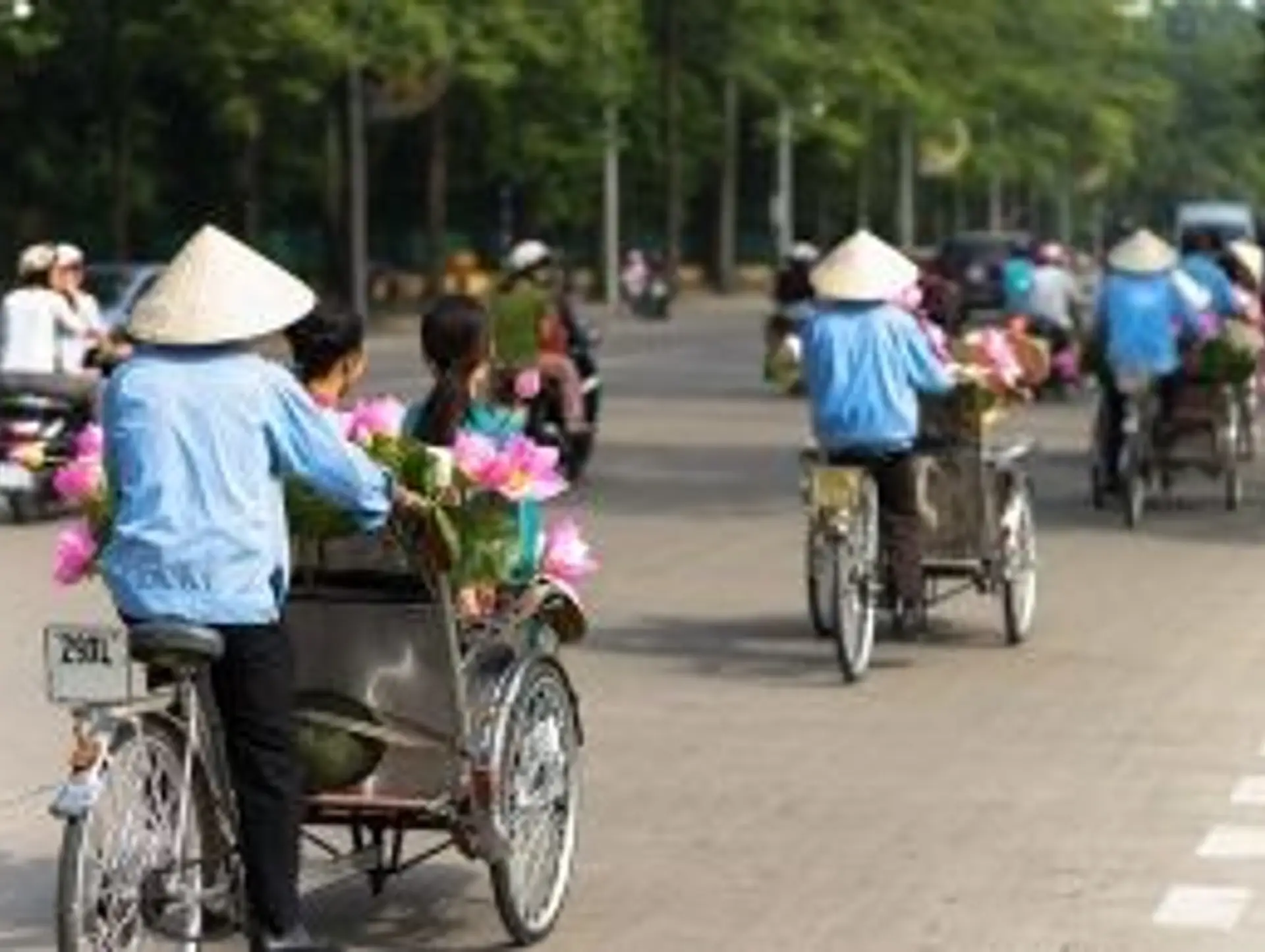 Must-See Places in Vietnam