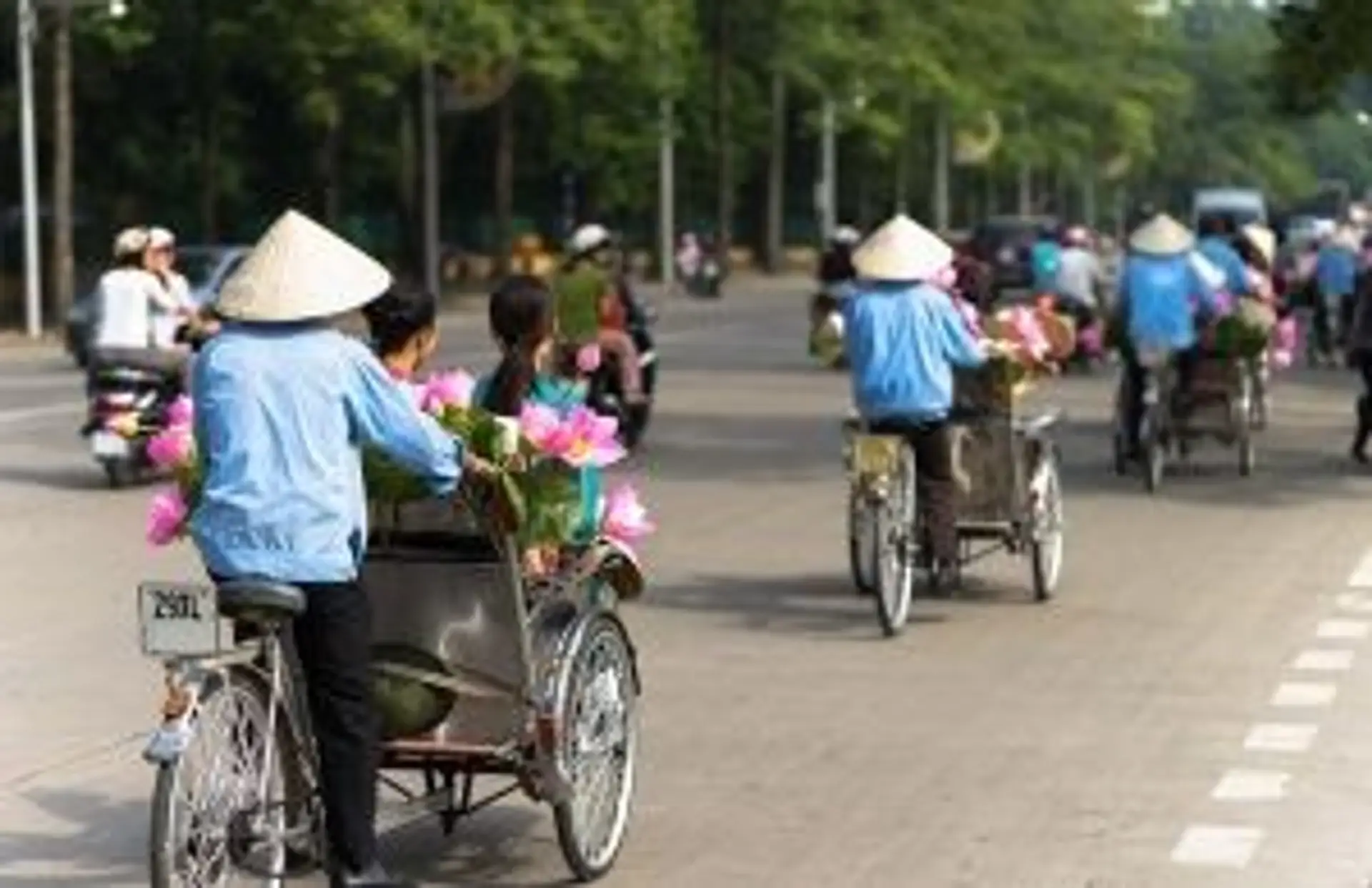 Travel in Asia - Cyclists navigating a city street in Vietnam