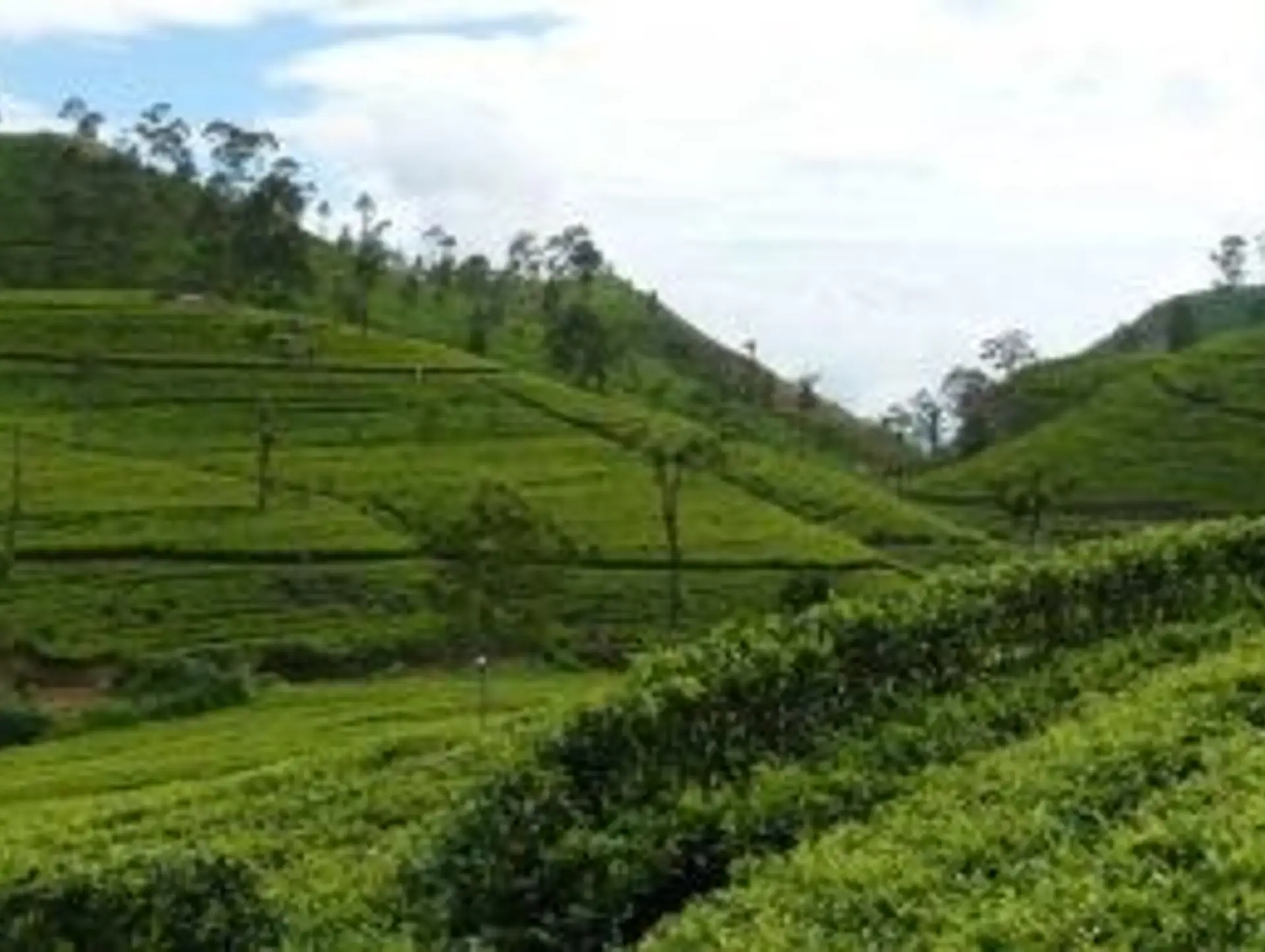 Off-the-Beaten-Path Places in Sri Lanka