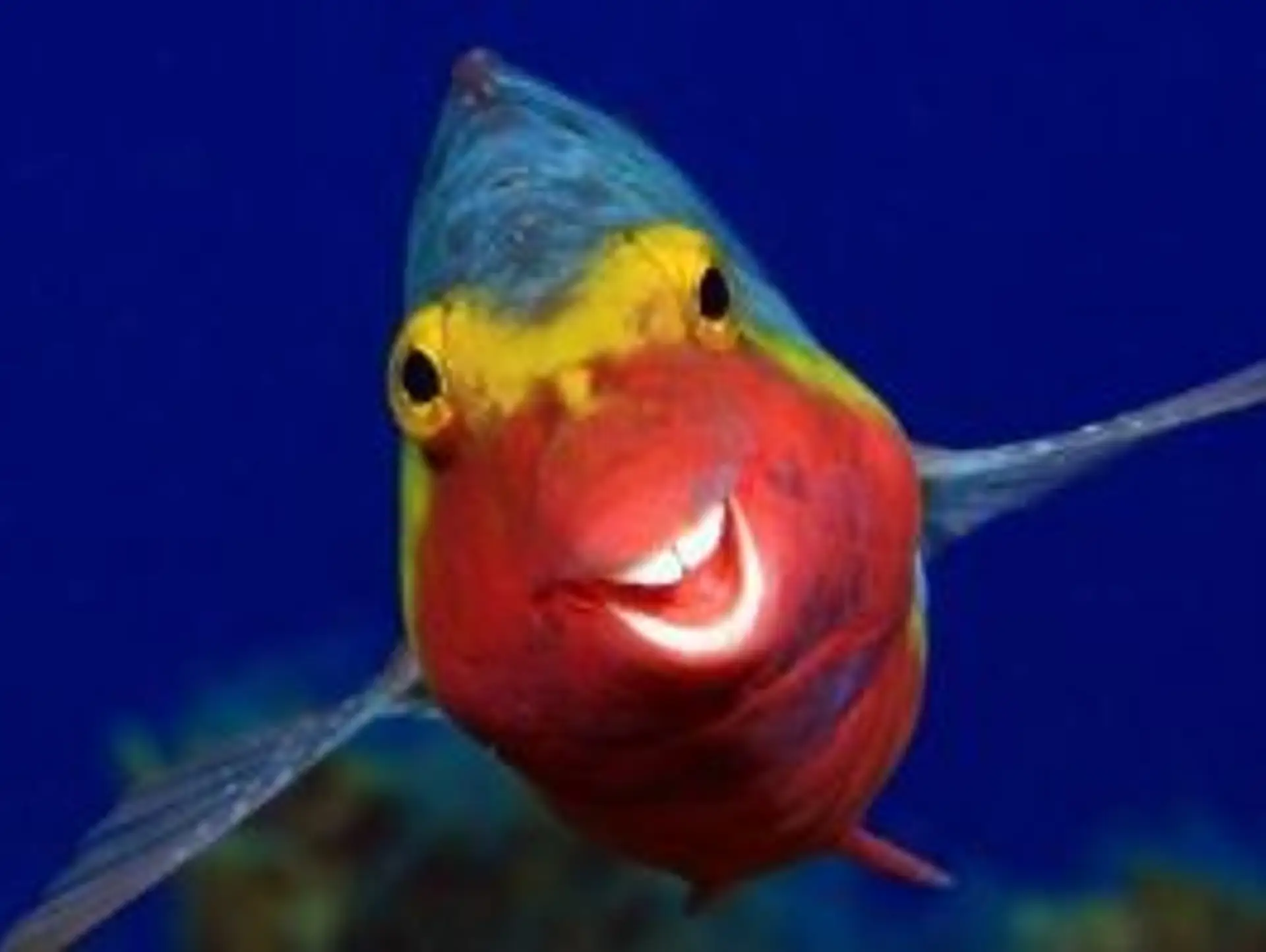 Off-the-Beaten-Path Places in Vietnam