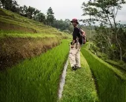 koffer-packen-fur-Indonesien