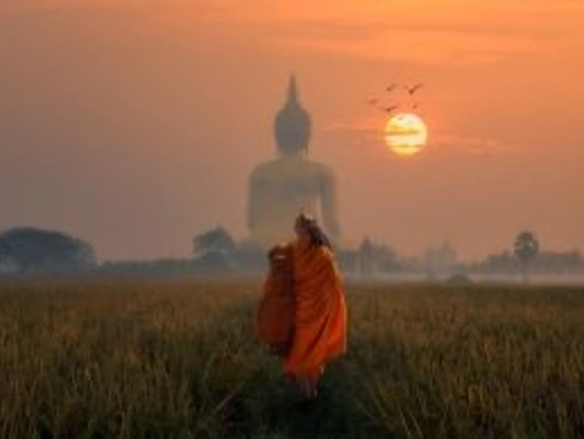 Pourquoi voyager avec nous en Thaïlande?