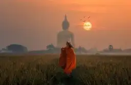 Gros plan sur un éléphant d'Asie mangeant des herbes dans un sanctuaire éthique en Thaïlande.