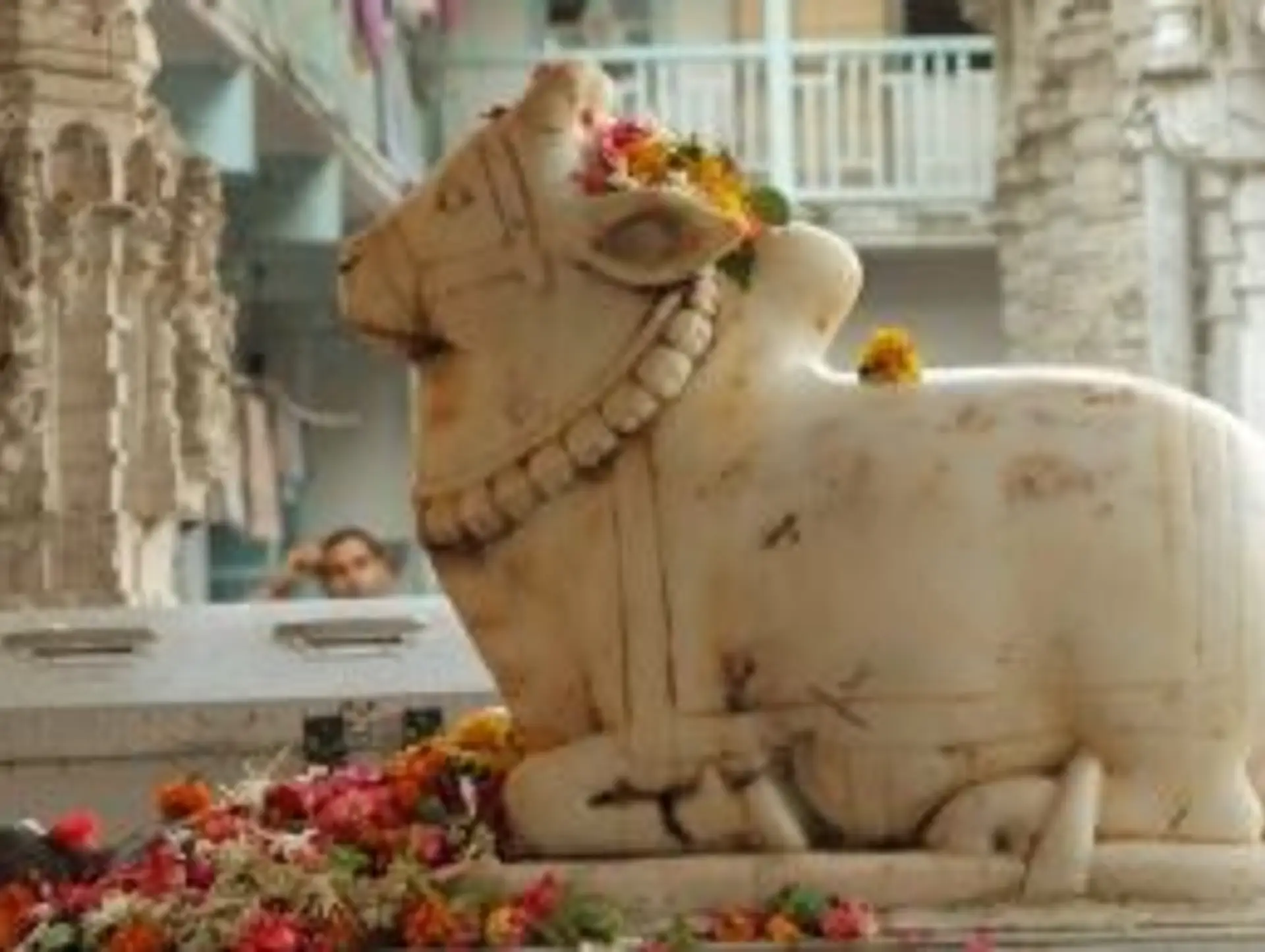 Pourquoi voyager avec Shanti Travel en Inde du Sud ?