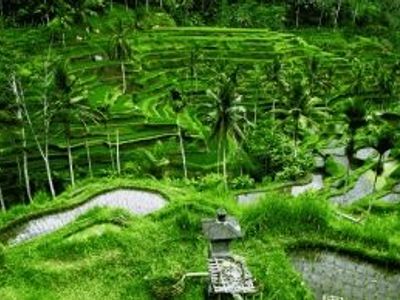 Quand partir à Bali