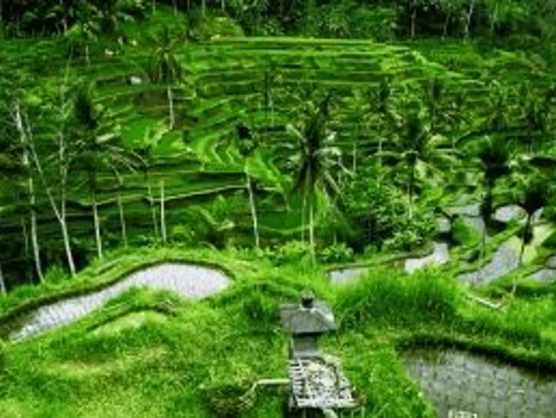 Quand partir à Bali