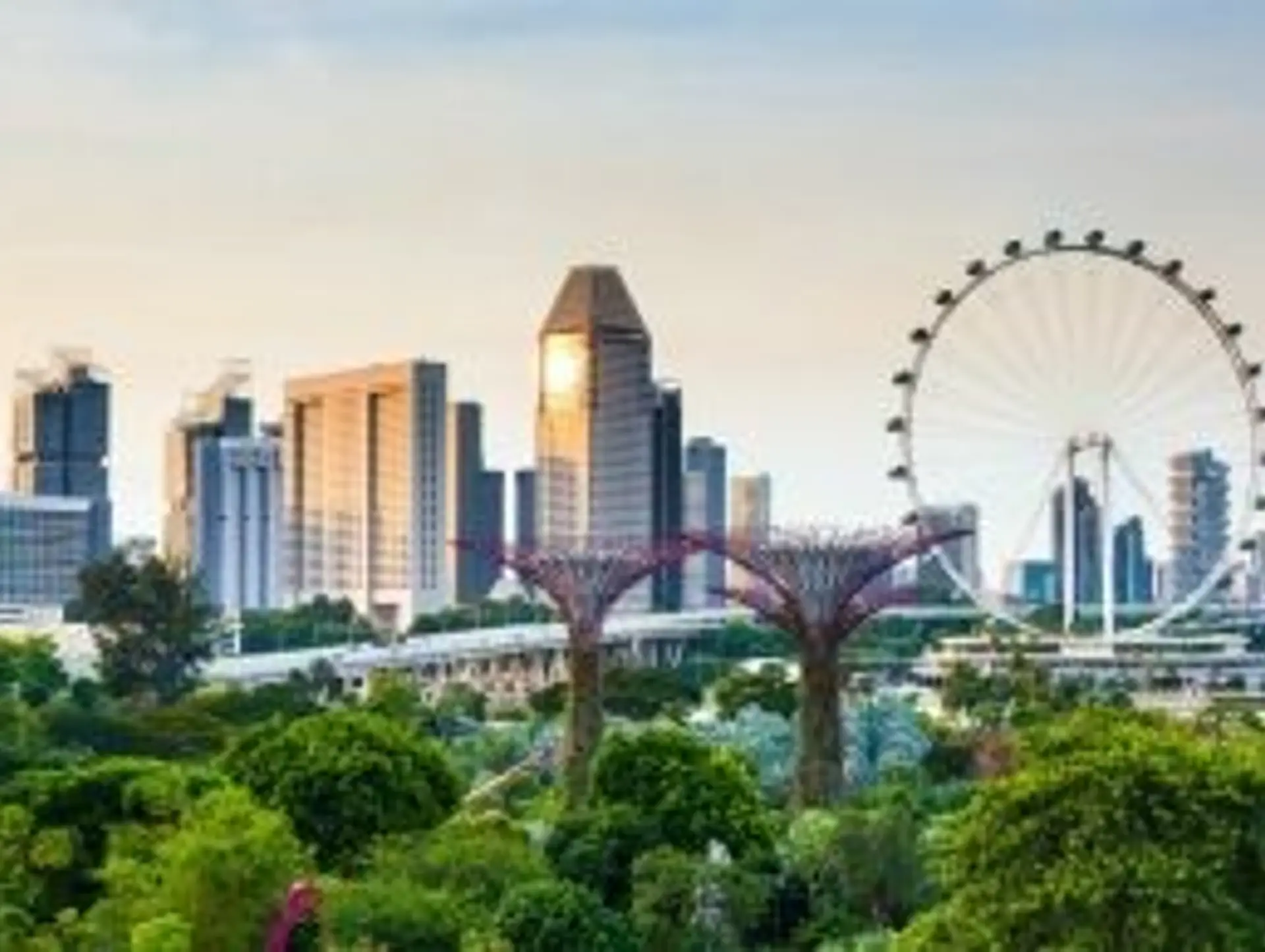 Quand partir à Singapour ?