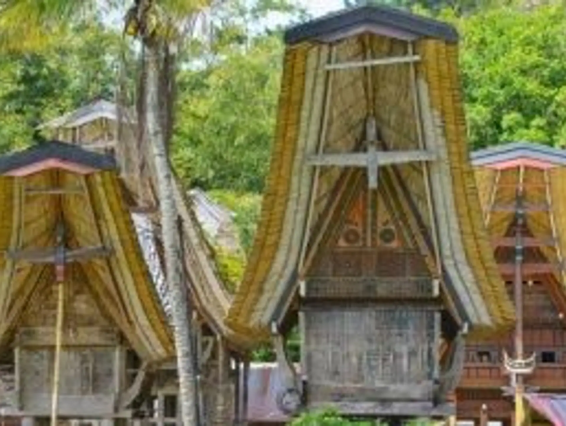 Quand partir à Sulawesi