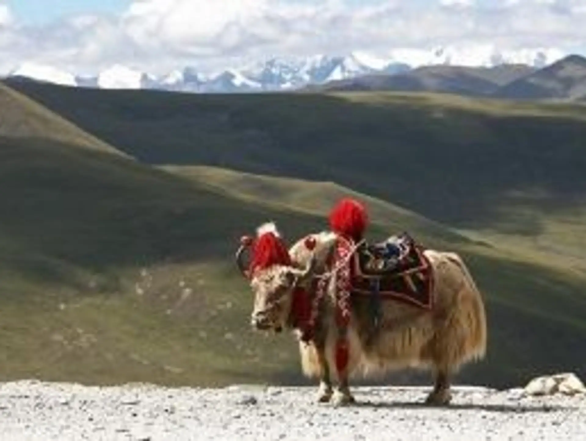 Quand partir au Bhoutan ?