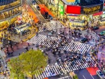 Quand partir au Japon ?