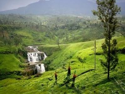 Quand partir au Sri Lanka ?