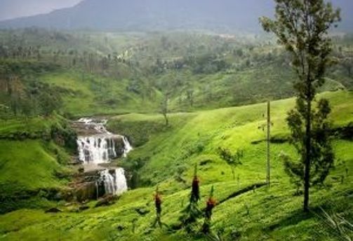 quand-partir-sri-lanka