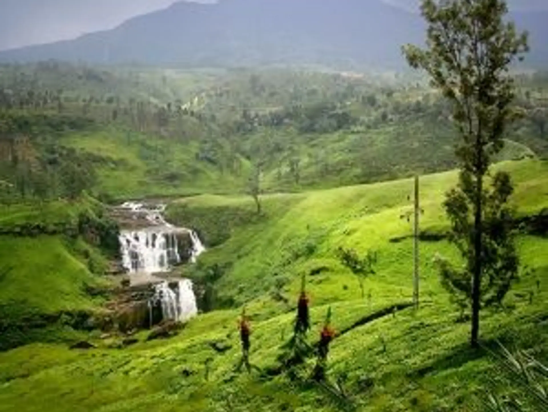 Quand partir au Sri Lanka ?