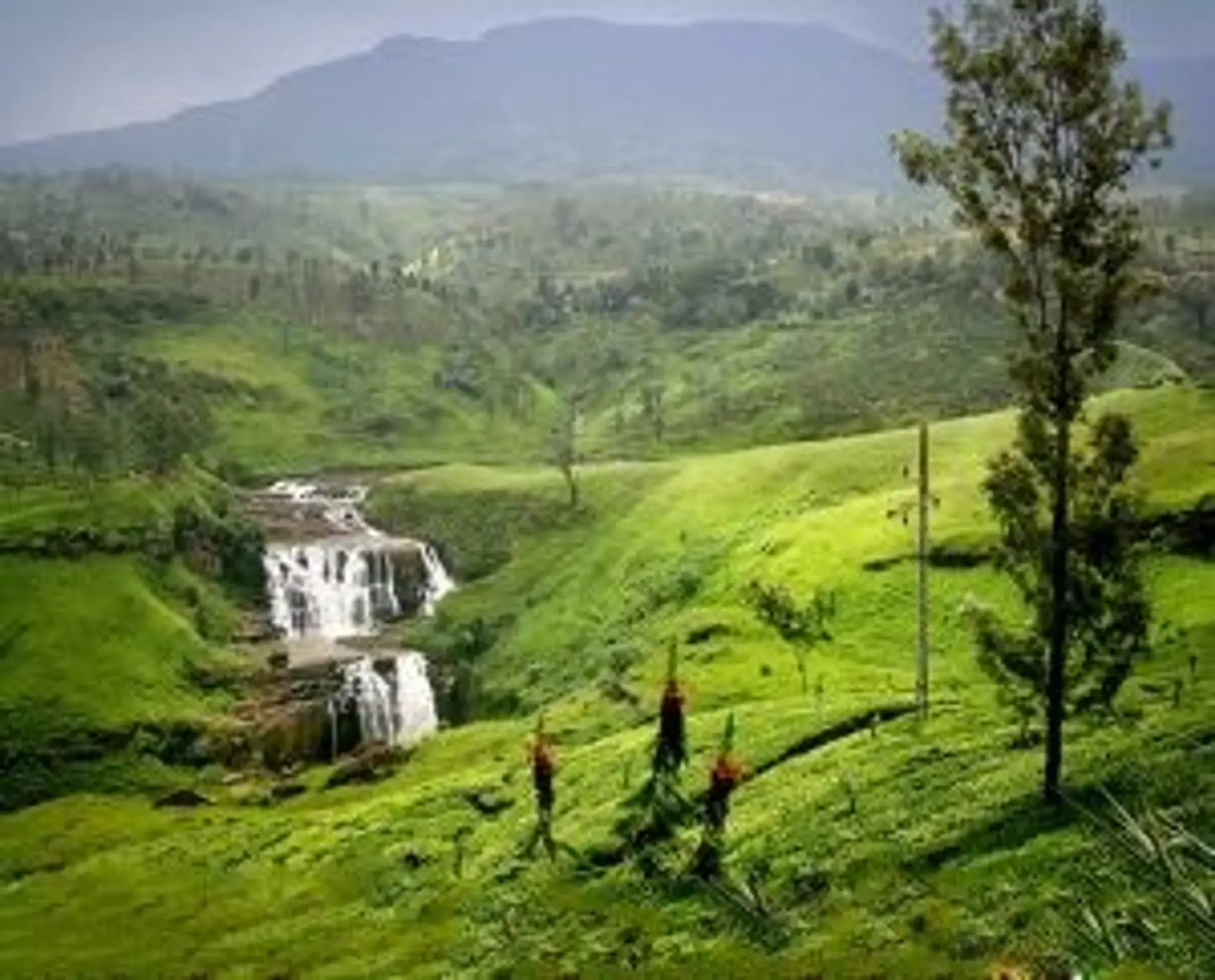 Paysage de plantations de thé et cascades dans les montagnes du Sri Lanka