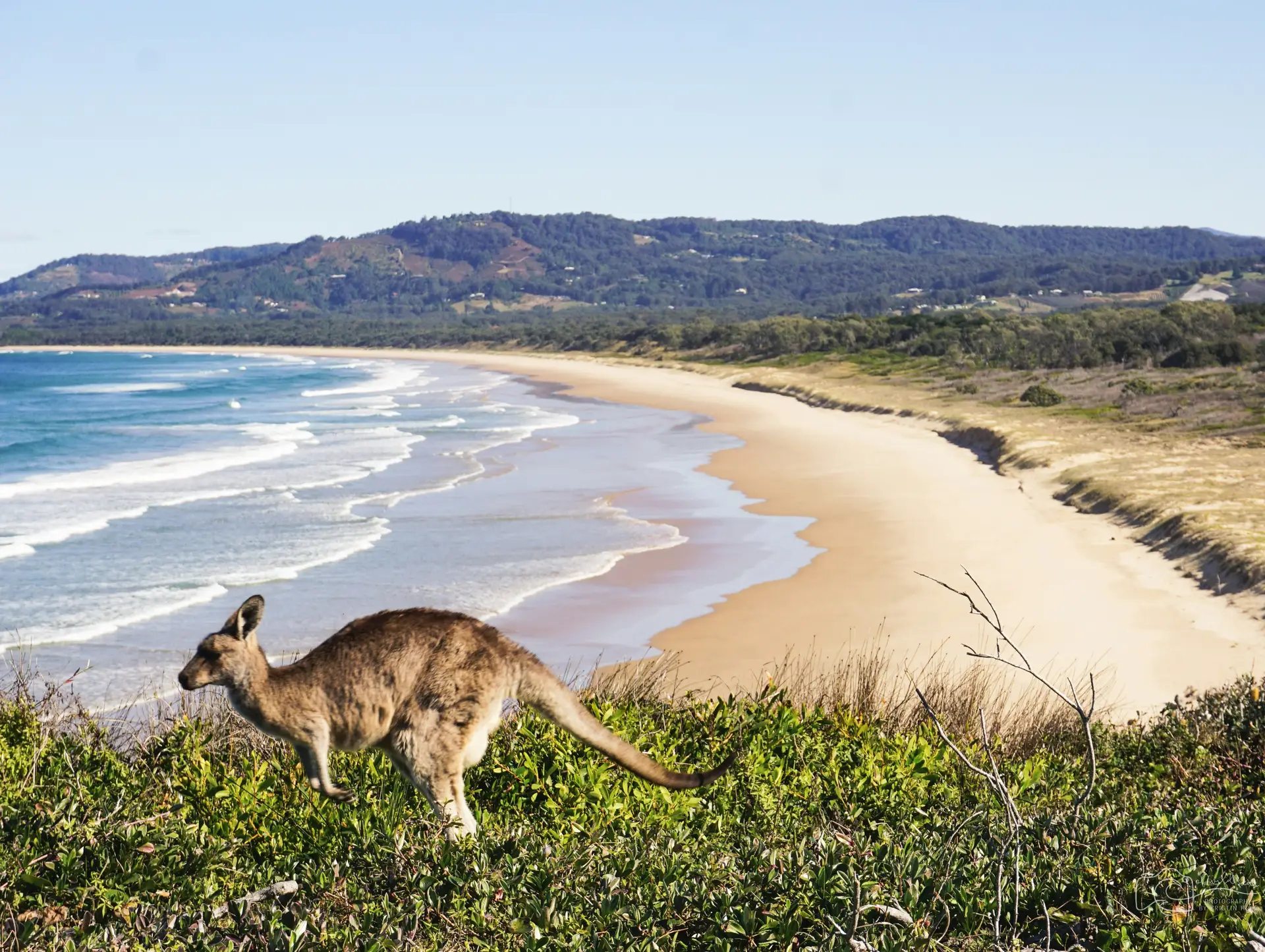 Quand partir en Australie ?