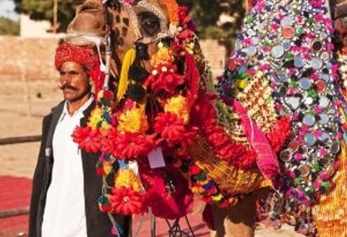 Quand partir en Inde du Nord - guide climat, saisons et conseils de voyage