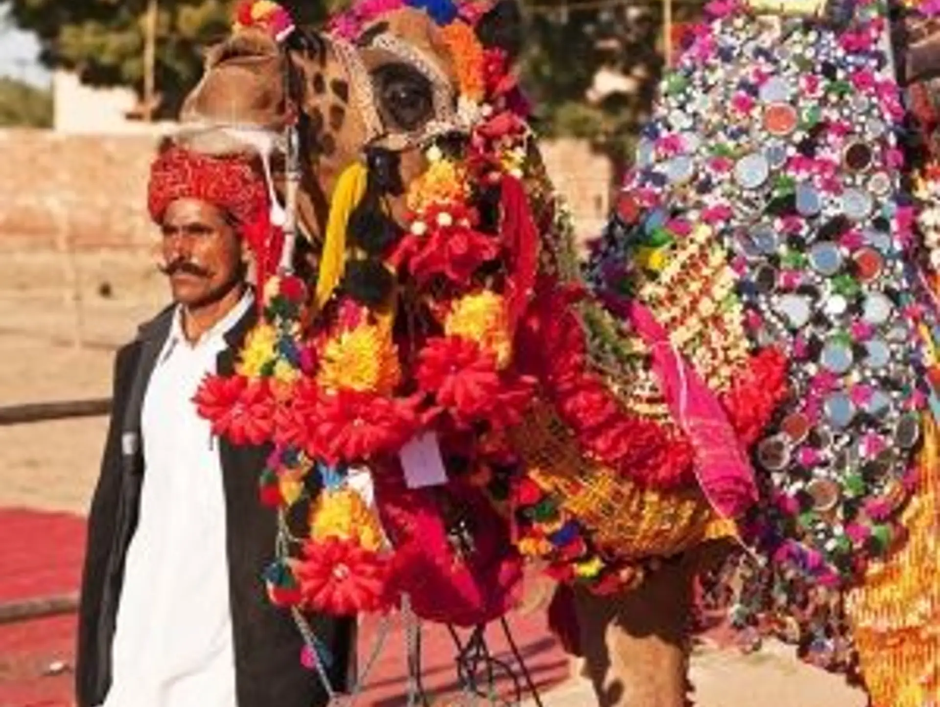 Quand partir en Inde du Nord ?