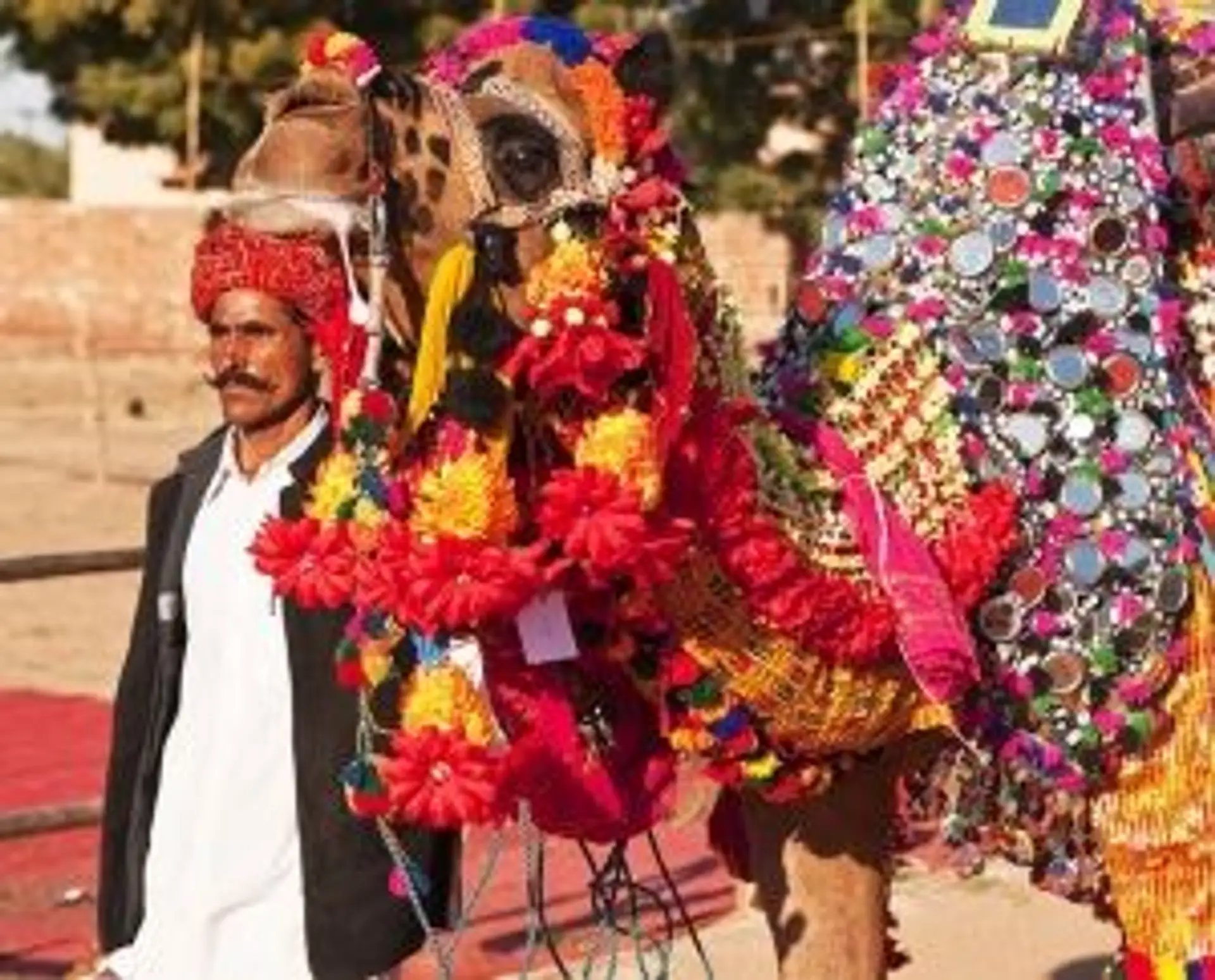 Quand partir en Inde du Nord - guide climat, saisons et conseils de voyage