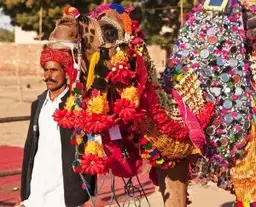 Quand partir en Inde du Nord - guide climat, saisons et conseils de voyage