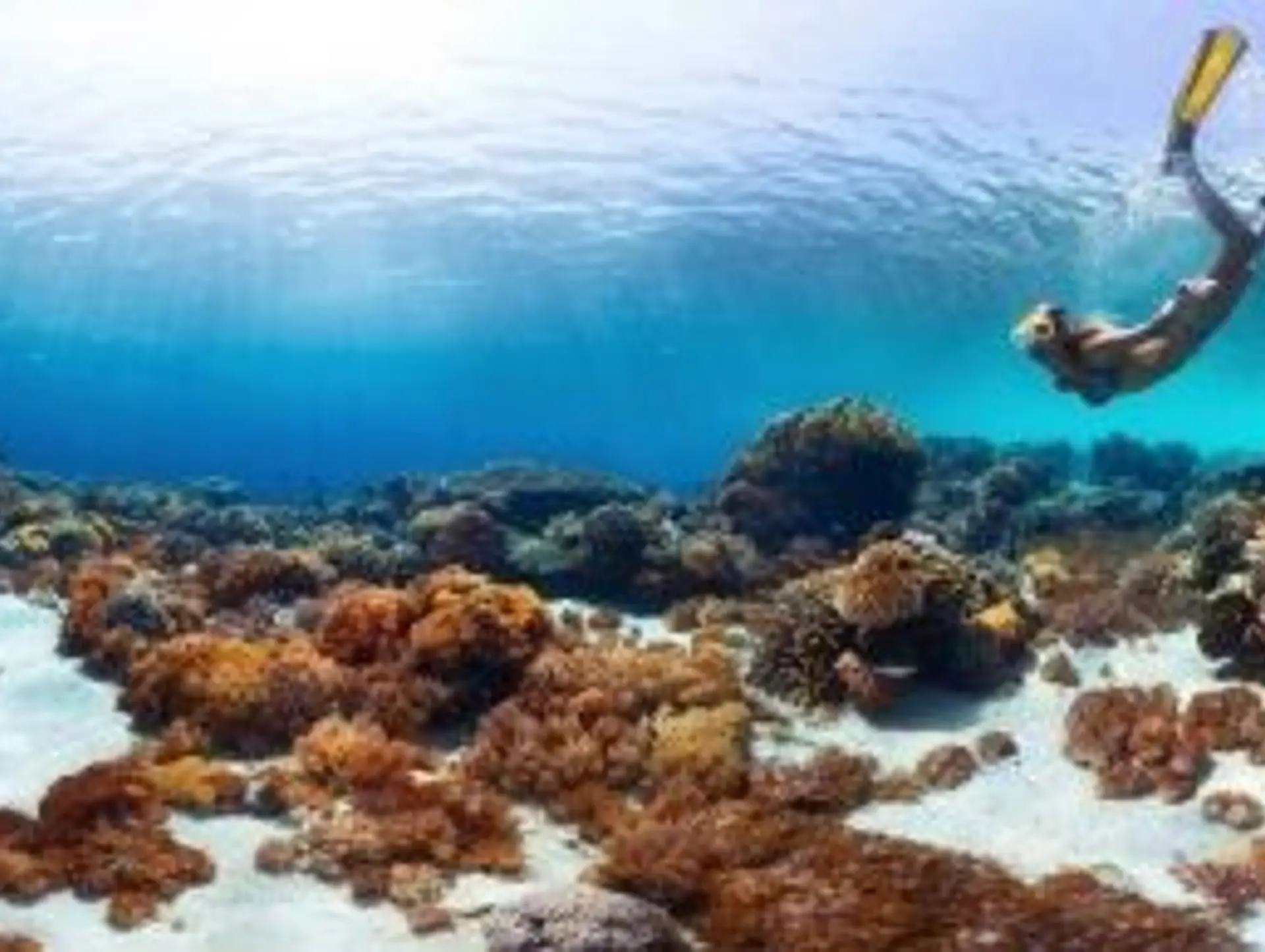 Wann ist die beste Reisezeit für Indonesien?