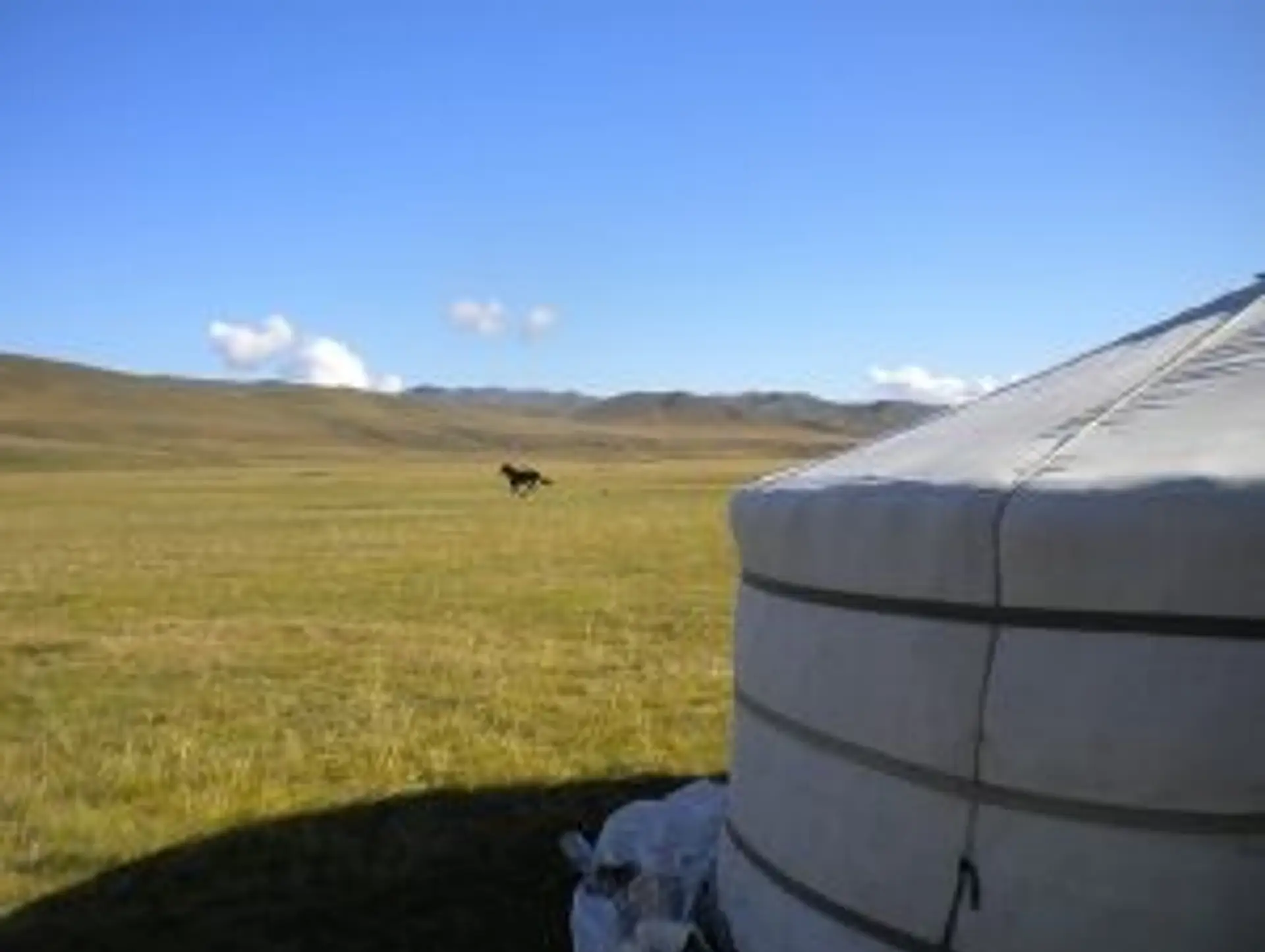 Quand partir en Mongolie ?