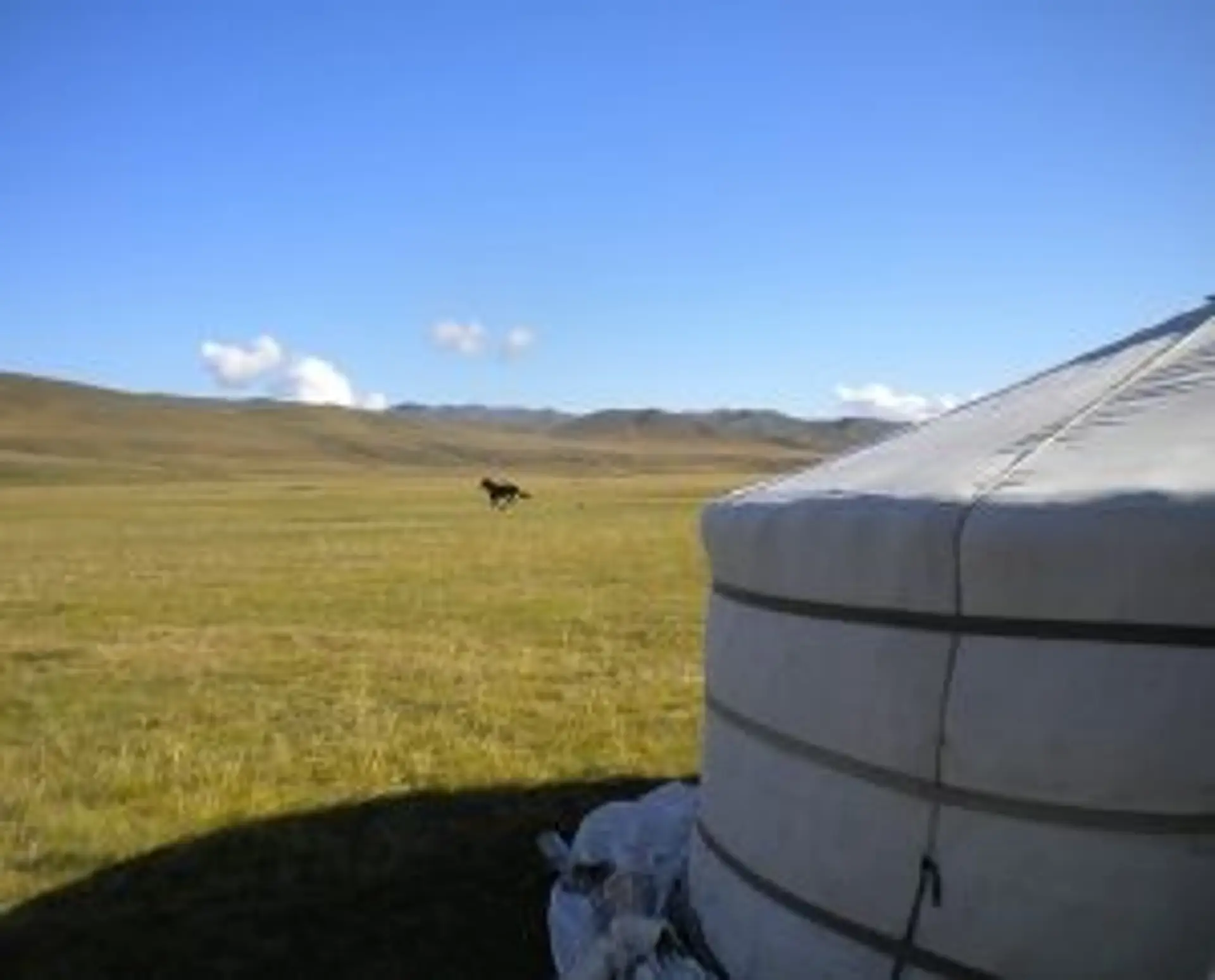Voyage en Mongolie — Une yourte traditionnelle blanche sous un ciel bleu dégagé dans une prairie verdoyante.