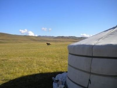 Quand partir en Mongolie ?