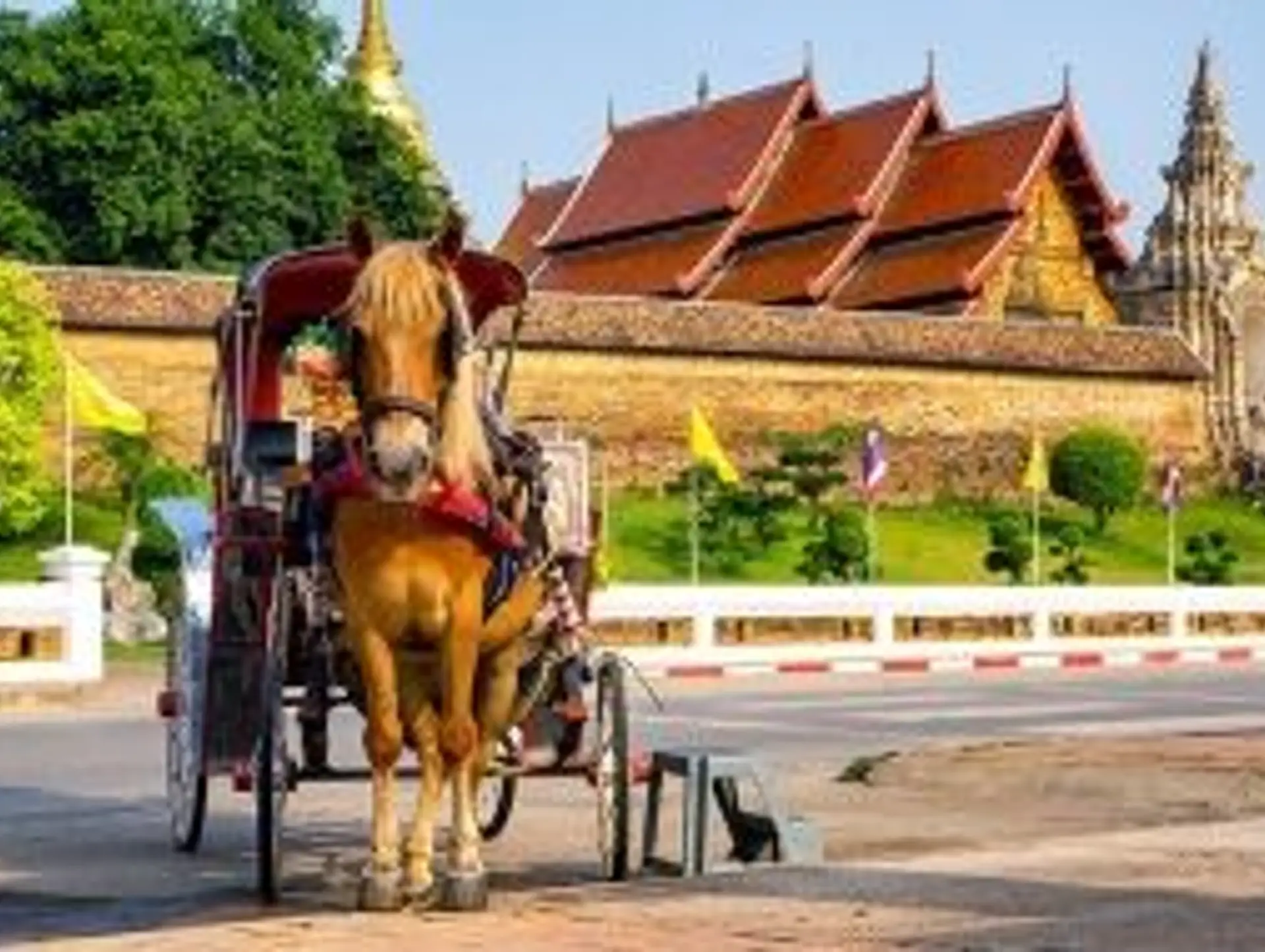 Quand partir en Thaïlande ?
