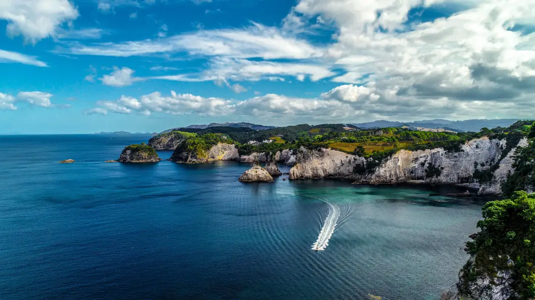 Côte découpée et falaises blanches surplombant l'océan Pacifique à Coromandel