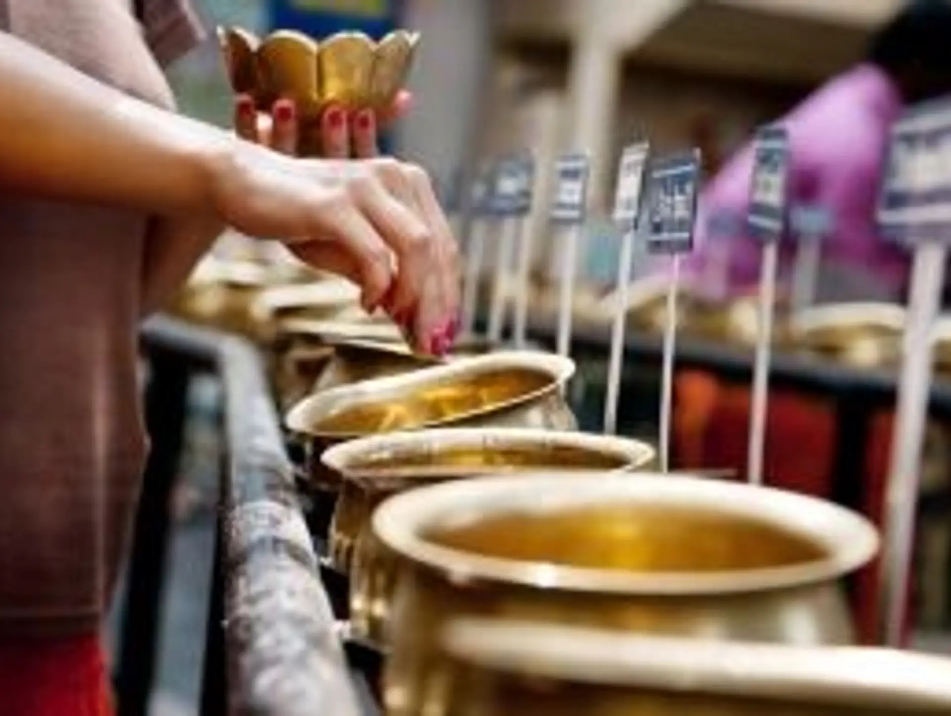 Que lire et voir avant de partir en Inde du Sud ?