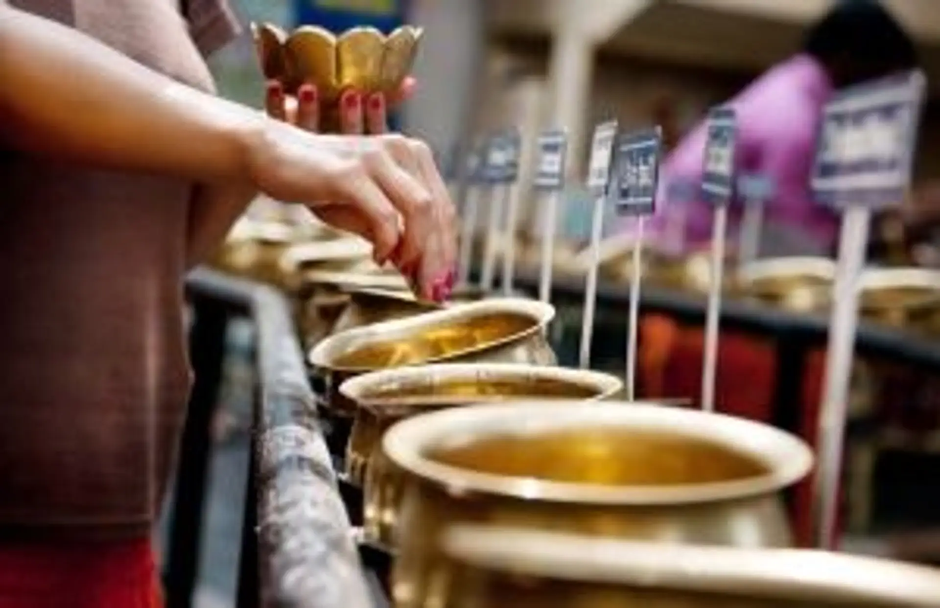 Voyage en Asie - Quand partir en Inde du Sud : saison sèche de novembre à mai, mousson et conseils pour choisir la meilleure période